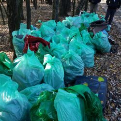 Uklanjanje divljih deponija na Kelebiji