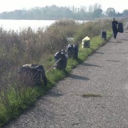 Cišćenje obale 3 i 4 sektora Palićkog jezera