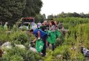 Očišćene divlje deponije u naseljima Prozivka, Palić i Ker